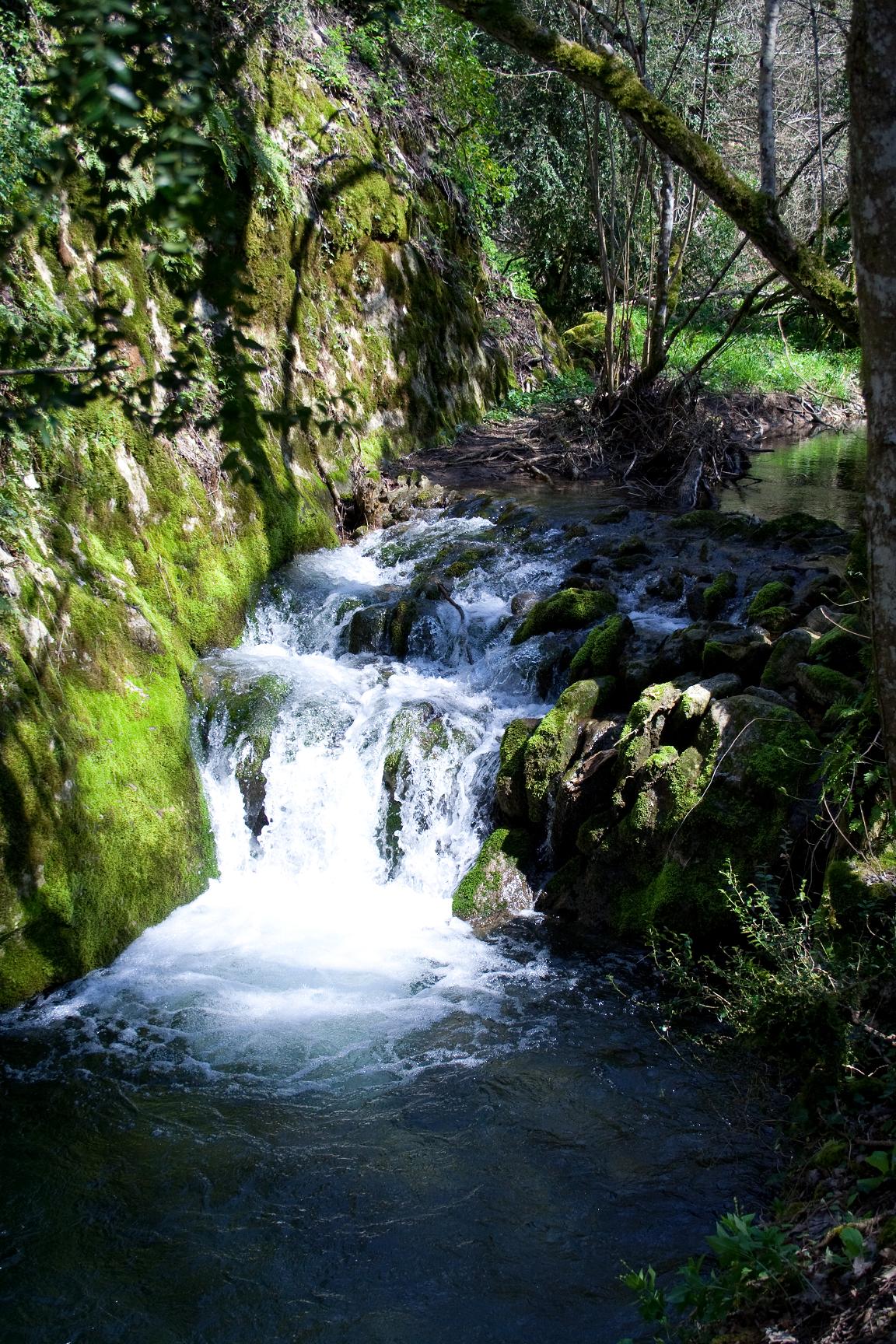 Fonds d'cran Nature Cascades - Chutes Les Seguins