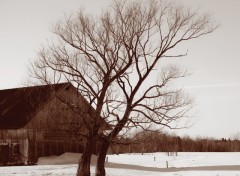 Fonds d'cran Nature grange