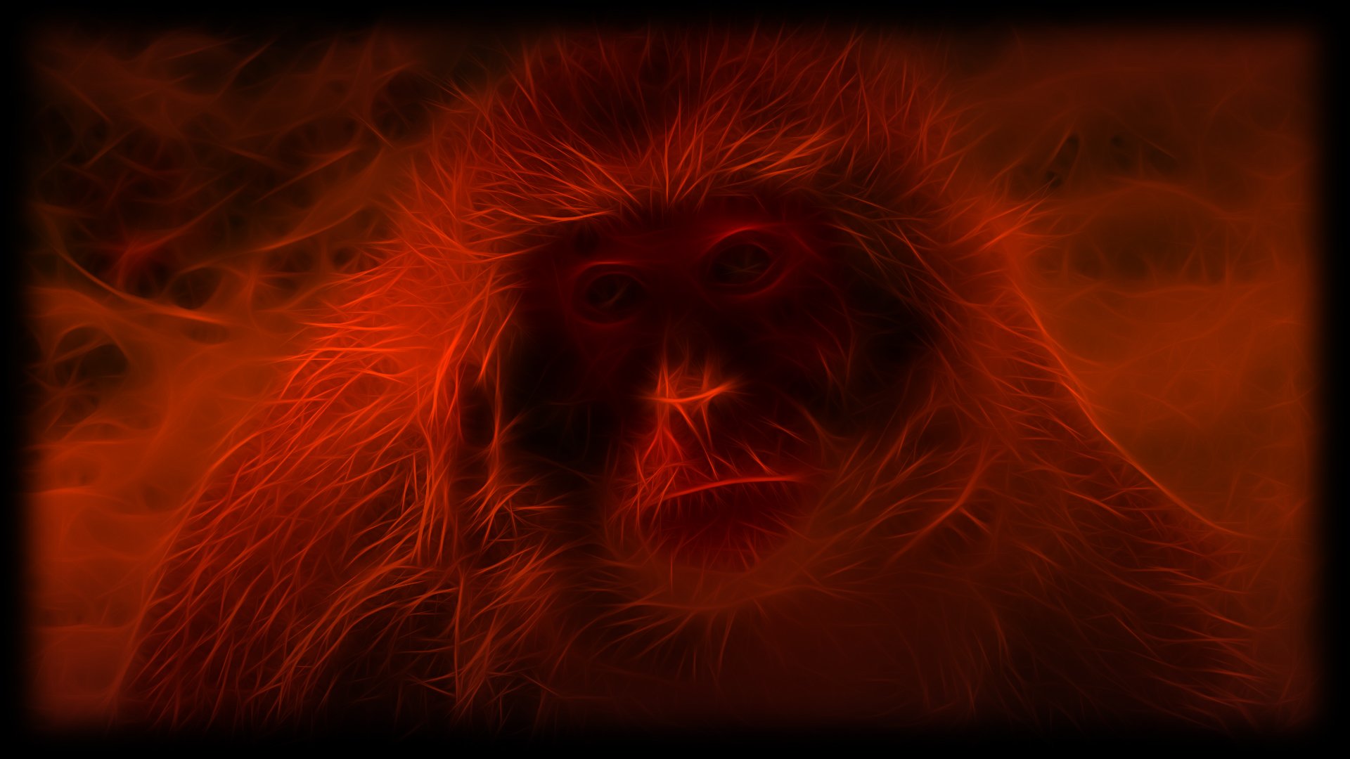 Fonds d'cran Art - Numrique Animaux monkey of darckness