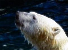 Fonds d'cran Art - Numrique ours polaire