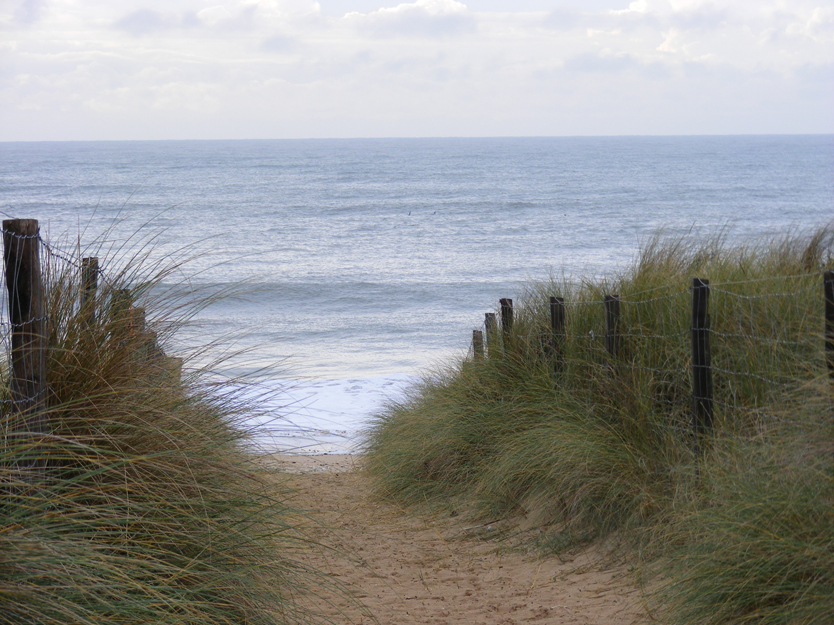 Wallpapers Nature Seas - Oceans - Beaches Dune d'oleron