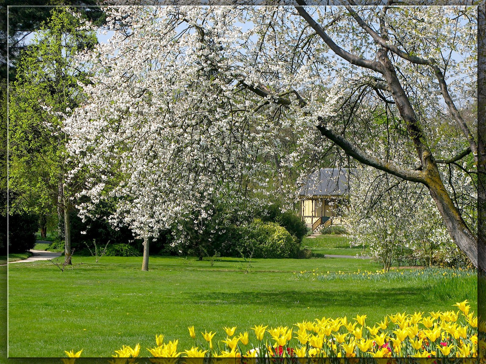 Wallpapers Nature Parks - Gardens Petit air de Normandie au Pr Catelan .