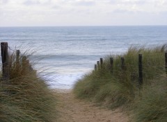 Wallpapers Nature Dune d'oleron