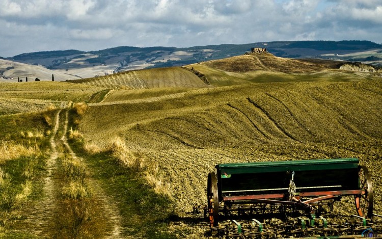 Fonds d'cran Nature Champs - Prairies Tuscany