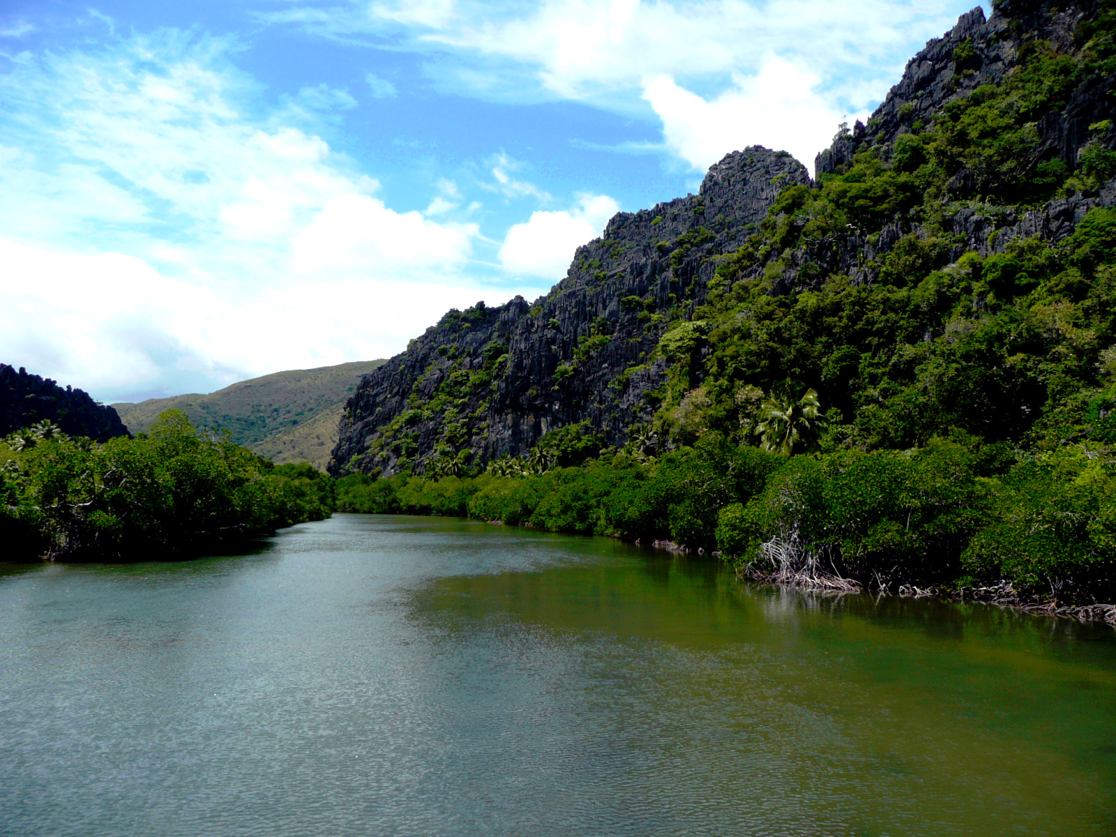 Fonds d'cran Nature Fleuves - Rivires - Torrents Rivire de Caldonie