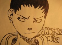 Fonds d'cran Art - Crayon shikamarou