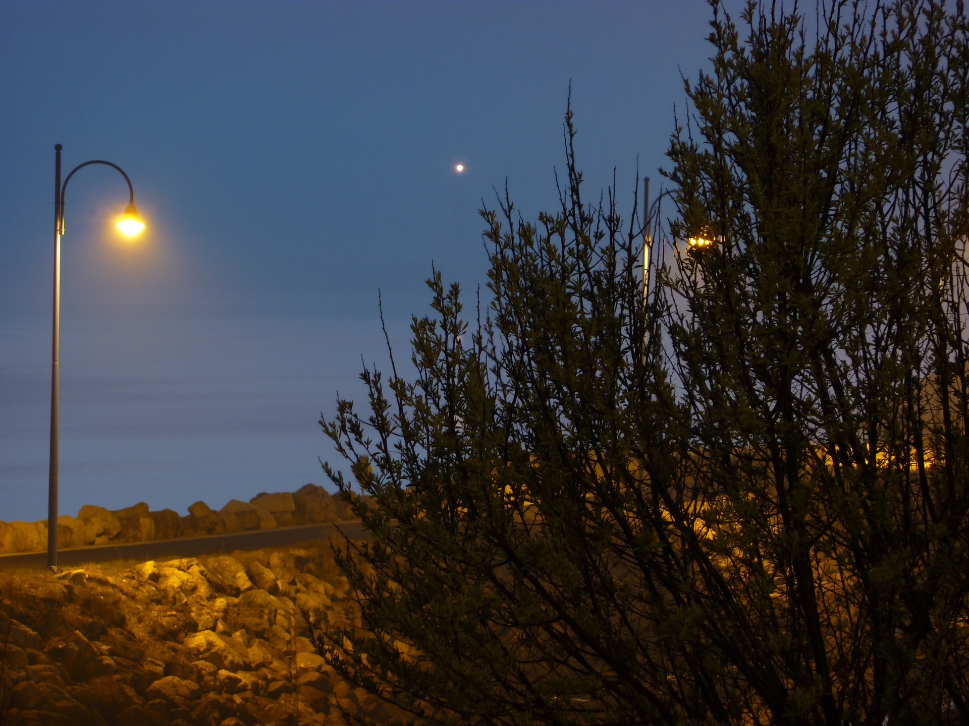 Fonds d'cran Nature Arbres - Forts buisson de nuit avce phare