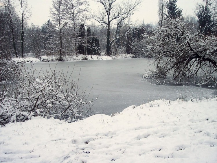 Fonds d'cran Nature Lacs - Etangs Etang gel