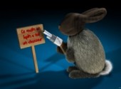 Wallpapers Humor Ce Matin Un Lapin a Tu Un Chasseur