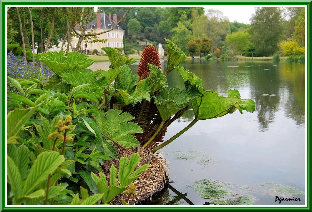 Wallpapers Nature Water - Reflection Jardin de printemps.