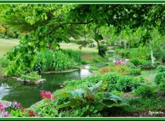 Fonds d'cran Nature Jardin de printemps.