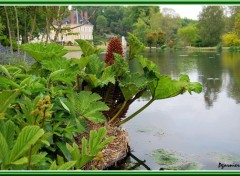 Fonds d'cran Nature Jardin de printemps.