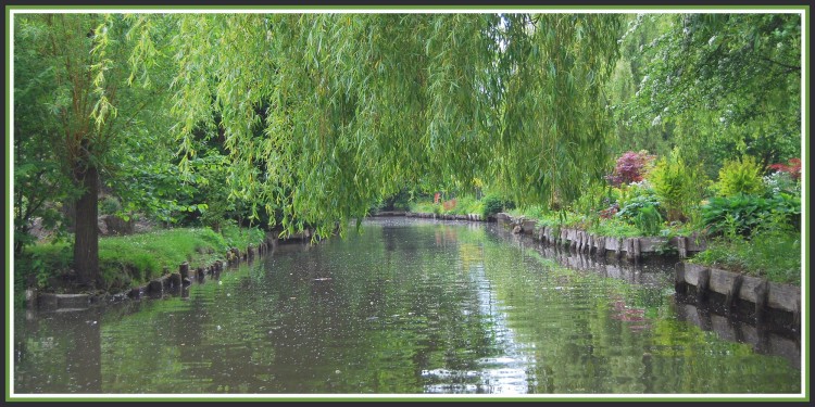 Wallpapers Nature Parks - Gardens Les Hortillonnages  Amiens (80)