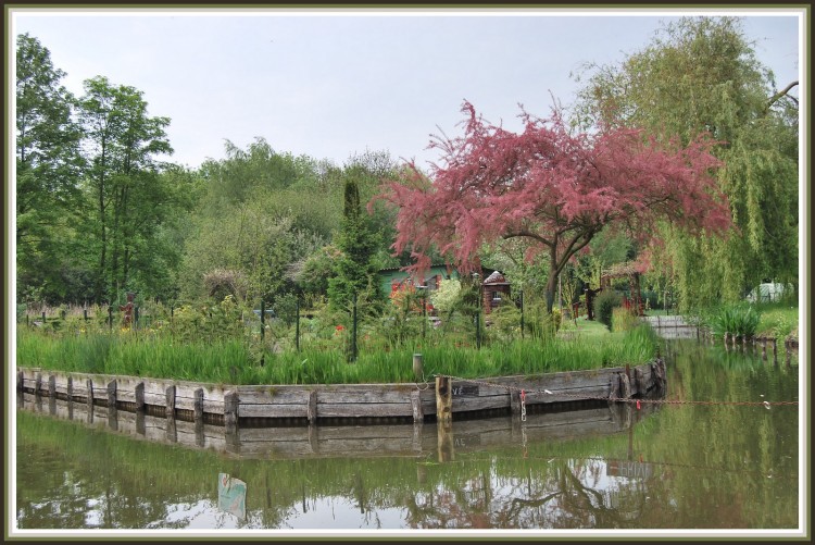 Wallpapers Nature Parks - Gardens Les Hortillonnages  Amiens (80)