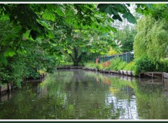 Fonds d'cran Nature Les Hortillonnages  Amiens (80)