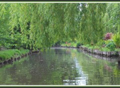 Fonds d'cran Nature Les Hortillonnages  Amiens (80)