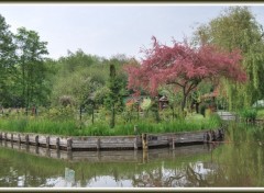 Fonds d'cran Nature Les Hortillonnages  Amiens (80)