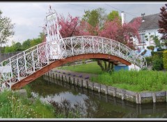 Fonds d'cran Constructions et architecture Passerelle aux Hortillonnages d'Amiens (80)