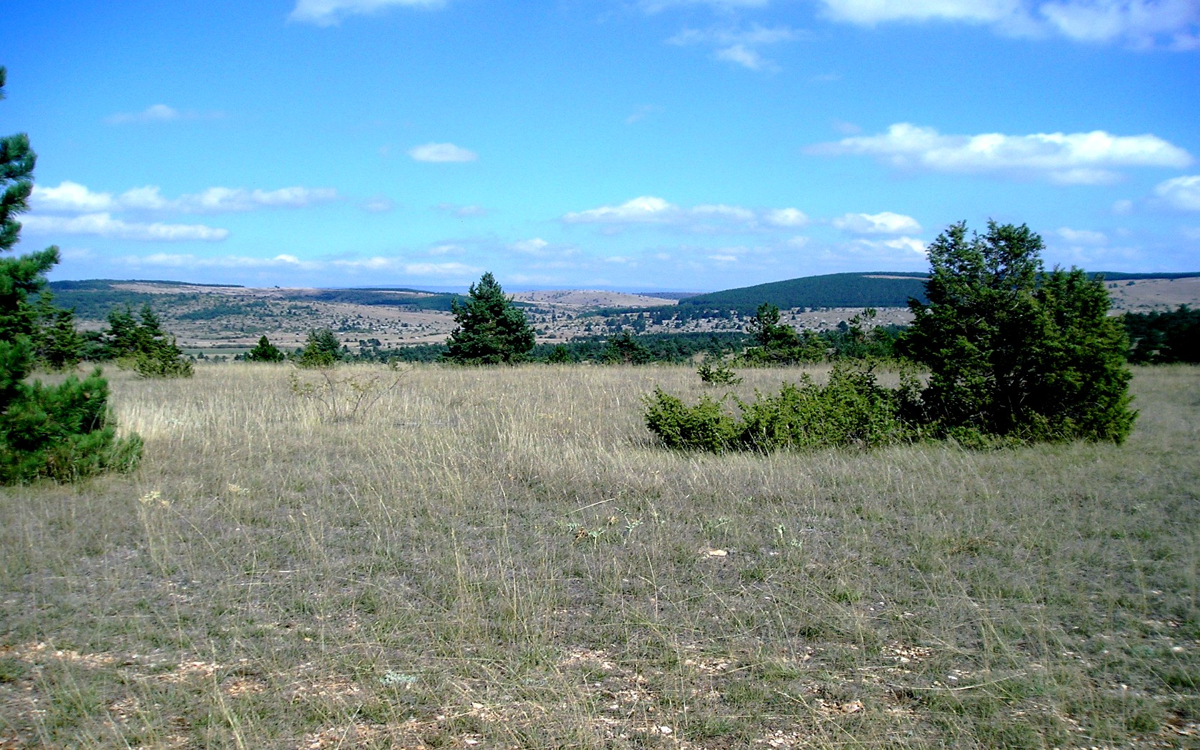 Fonds d'cran Nature Campagne Lozre