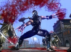 Fonds d'cran Jeux Vido ninja gaiden