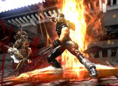 Wallpapers Video Games ninja gaiden