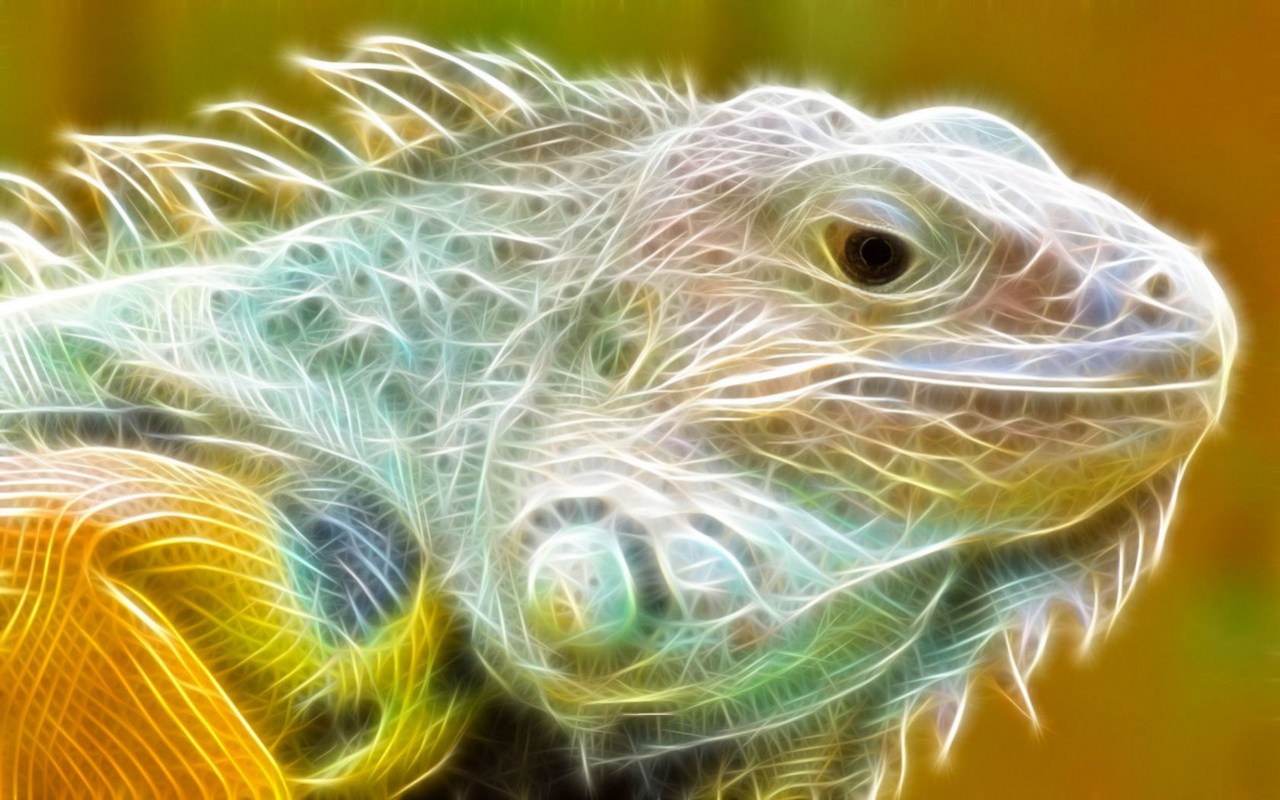 Wallpapers Digital Art Animals lezard