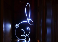 Photos Abstract - Art The Rabbit