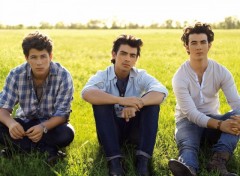 Wallpapers Music jonas brother