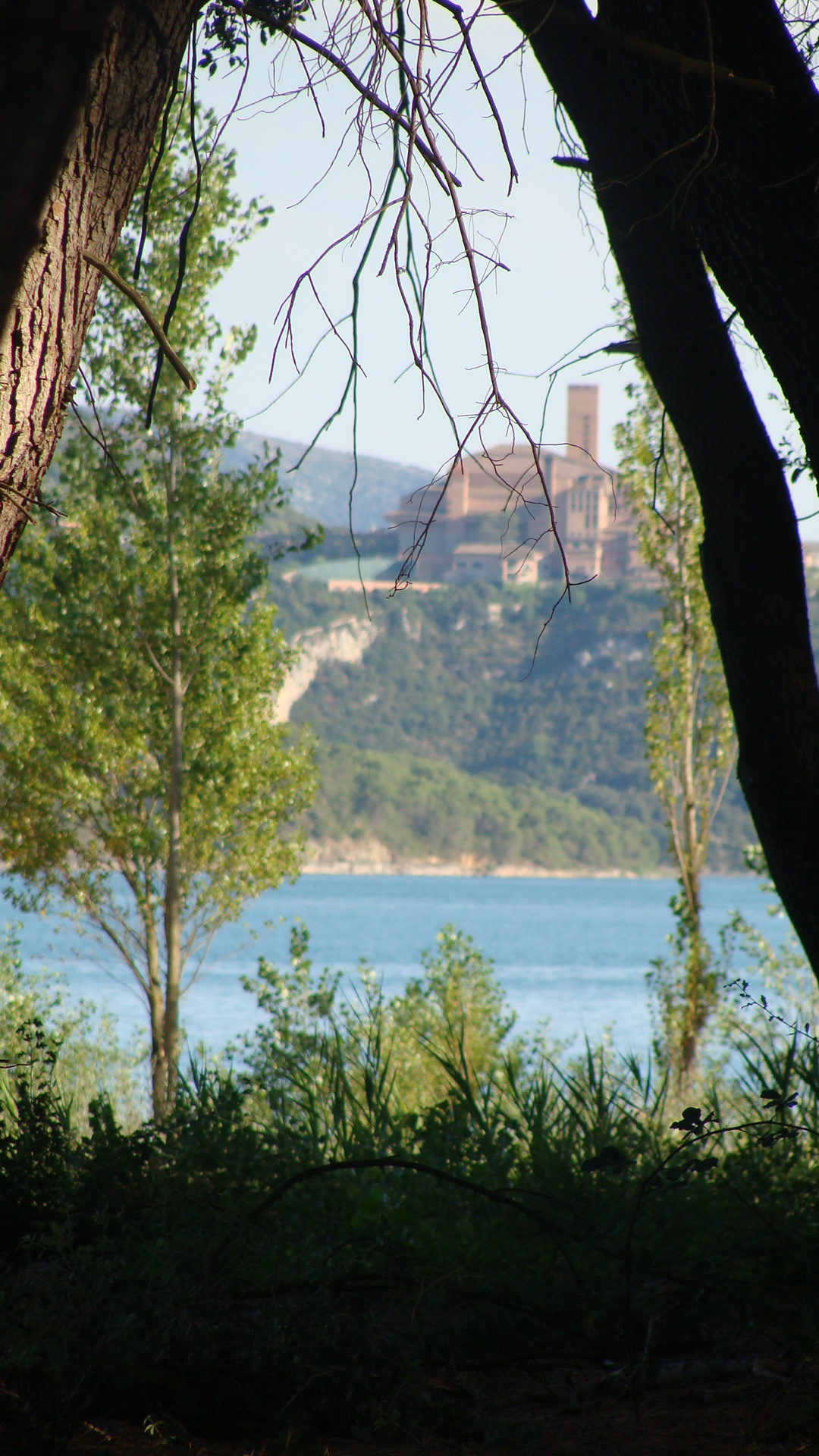 Fonds d'cran Nature Arbres - Forts 