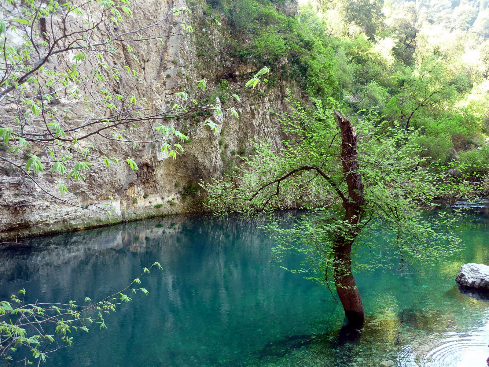 Wallpapers Nature Lakes - Ponds La Fontaine de Vaucluse