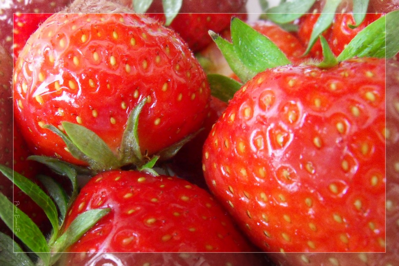 Fonds d'cran Nature Fruits Fraises