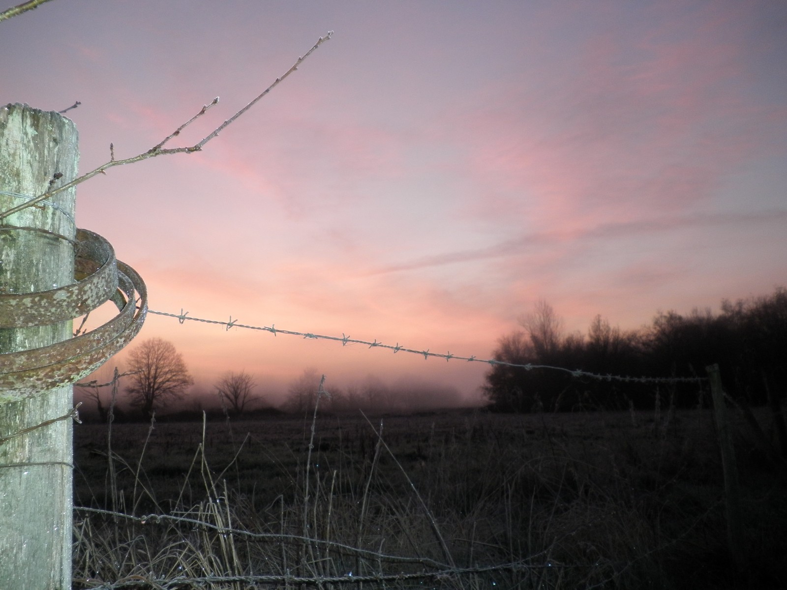 Fonds d'cran Nature Couchers et levers de Soleil Champ