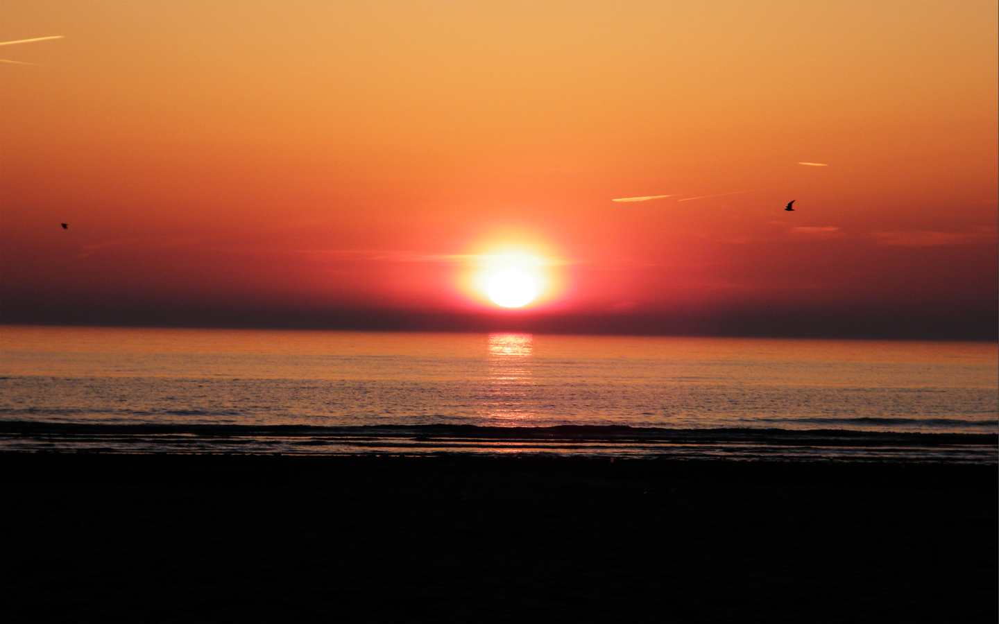 Fonds d'cran Nature Couchers et levers de Soleil 