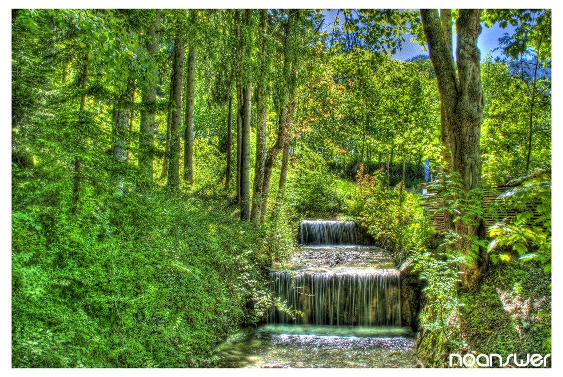 Fonds d'cran Nature Arbres - Forêts HDR Forêts 01