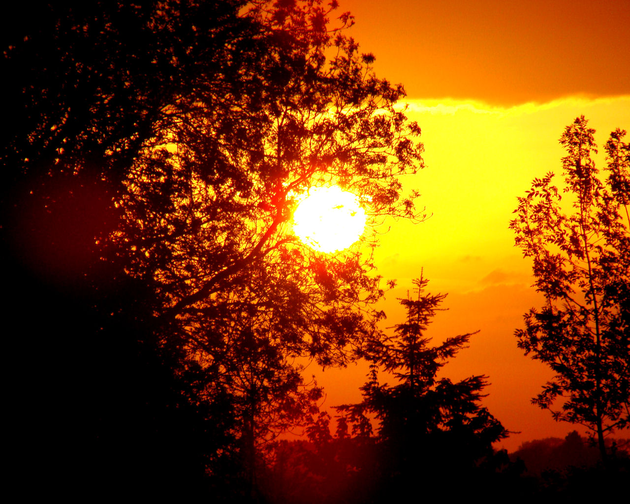 Fonds d'cran Nature Couchers et levers de Soleil 