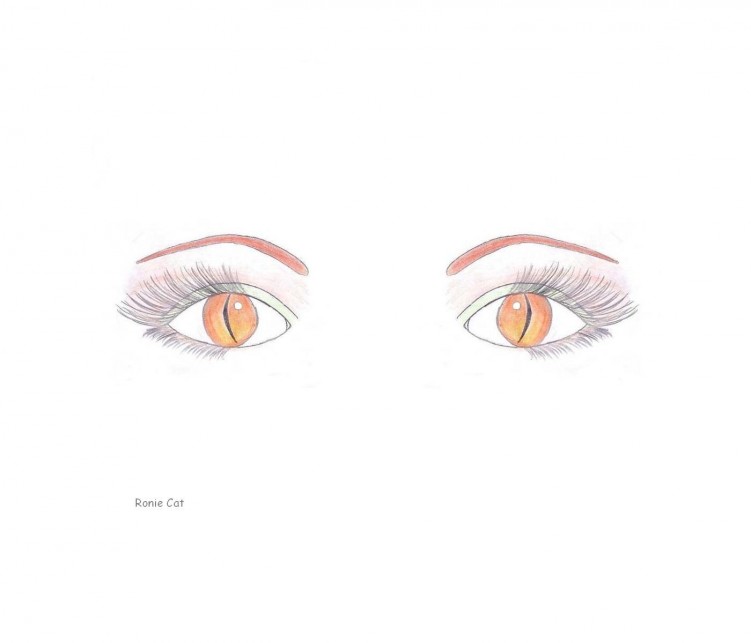 Wallpapers Art - Pencil Eyes Yeux rptiliens