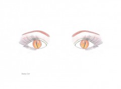 Wallpapers Art - Pencil Yeux rptiliens