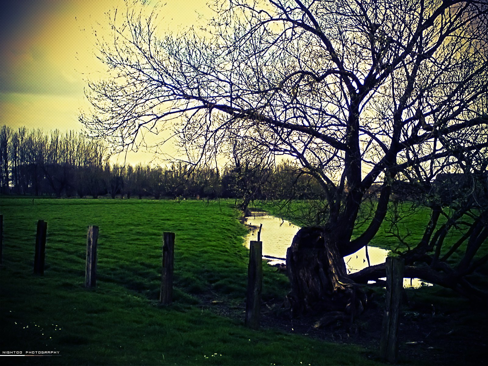 Fonds d'cran Nature Paysages La prairie