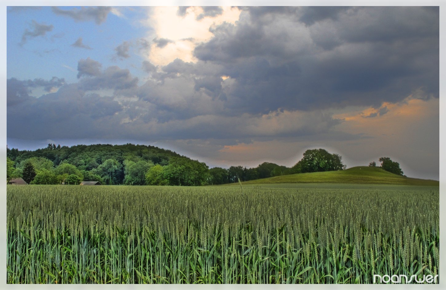 Wallpapers Nature Fields HDR champs 4