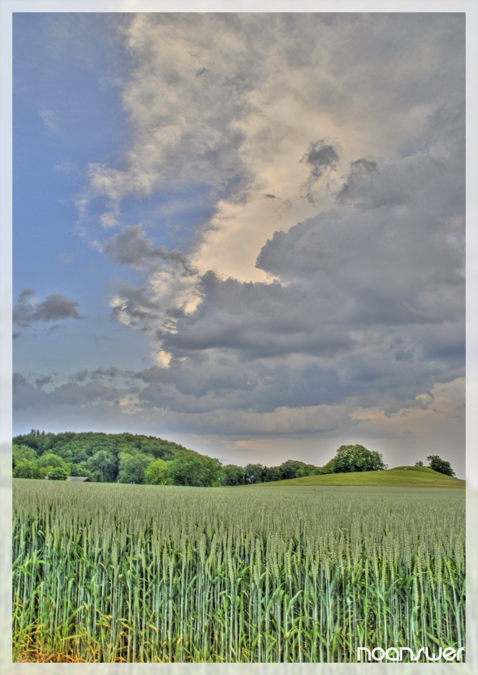 Wallpapers Nature Fields HDR champs 5