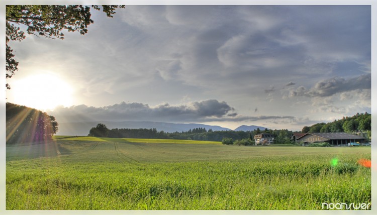 Fonds d'cran Nature Champs - Prairies HDR Champs 1