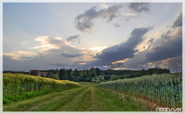 Wallpapers Nature Fields HDR Champs 3