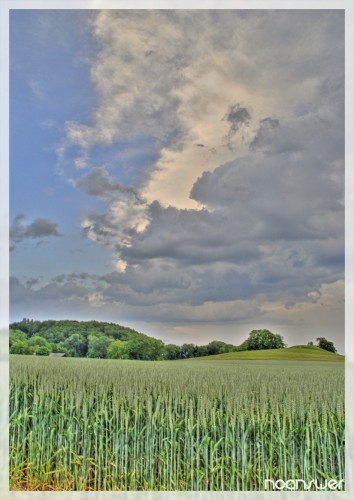 Fonds d'cran Nature Champs - Prairies HDR champs 5