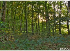 Fonds d'cran Nature HDR Fort