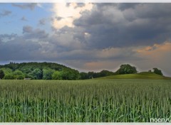 Fonds d'cran Nature HDR champs 4