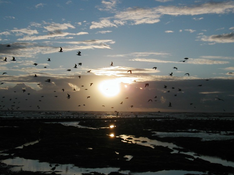 Fonds d'cran Nature Couchers et levers de Soleil coucher de soleil