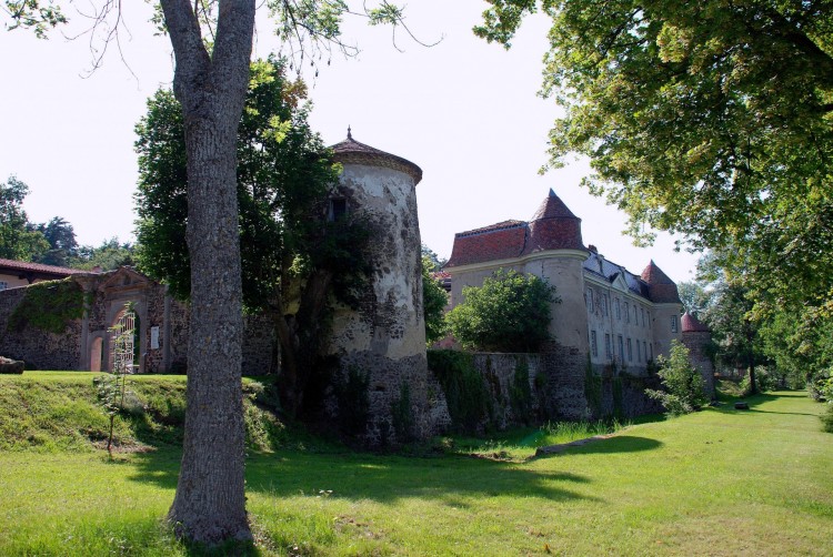 Fonds d'cran Constructions et architecture Chteaux - Palais chateau de Goutelas ;Loire 42