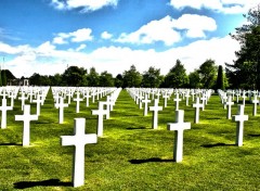 Wallpapers Trips : Europ Normandy American Cemetery and Memorial