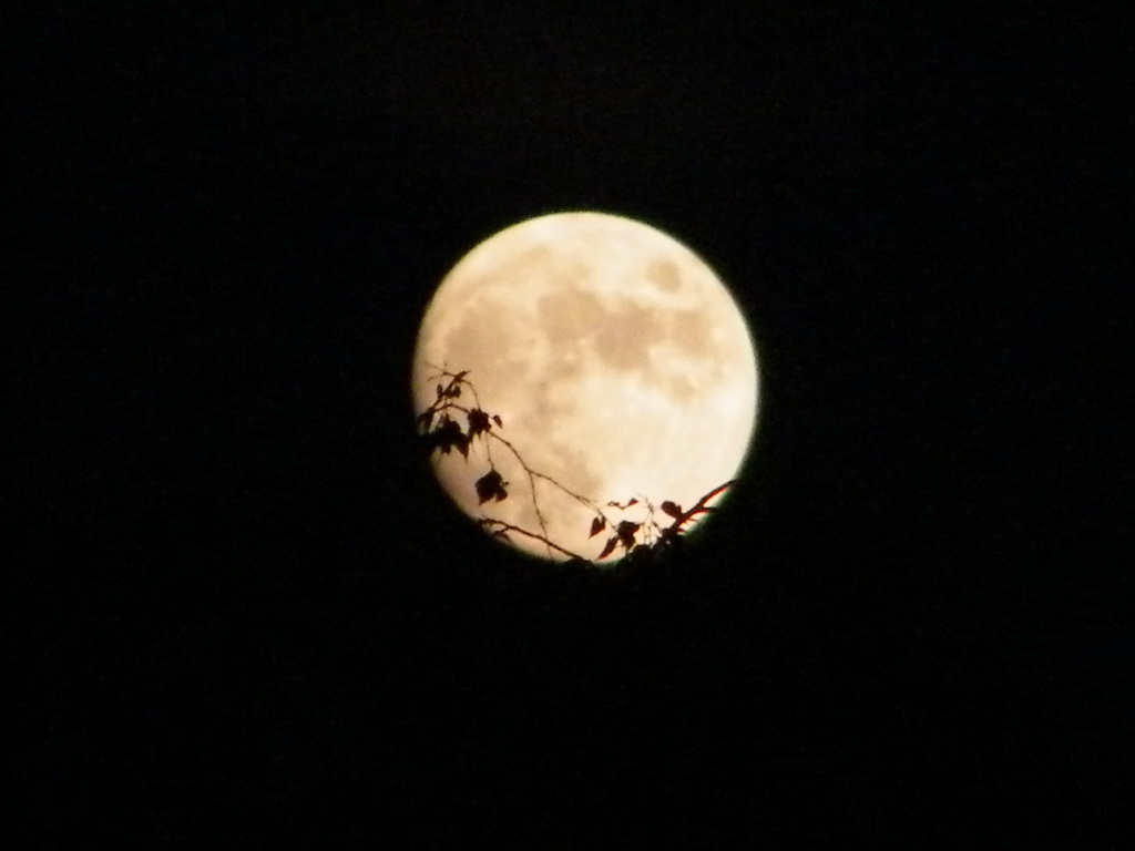 Fonds d'cran Espace Lune lune