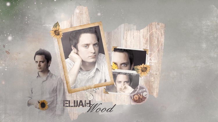 Fonds d'cran Clbrits Homme Elijah Wood Wallpaper N263526